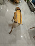 拉維佩特（LOVINGPET）狗狗衣服大型犬 保暖金毛狗衣服冬季柯基拉布拉多狗衣服中型犬 姜黃 6XL 建議60-75斤 曬單實(shí)拍圖