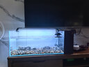 BESSN貝森25年新款側濾金晶五線(xiàn)超白玻璃魚(yú)缸血脈覺(jué)醒80*30*30cm基礎款 曬單實(shí)拍圖