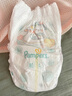 幫寶適（Pampers）清新幫拉拉褲 L大碼42片超薄干爽男女寶寶通用9-11KG建議咨詢(xún)客服 曬單實(shí)拍圖