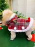 嬉皮狗（hipidog）秋冬狗狗衣服格子新年牽引披風(fēng)連帽絨衣小狗比熊泰迪保暖寵物服裝 德羅紅 M （建議體重5-8斤） 曬單實(shí)拍圖