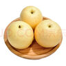 【產(chǎn)地直采】河北老樹(shù)皇冠梨4粒 約1.2kg 曬單實(shí)拍圖