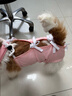 寵號狗狗絕育服四腳衣手術(shù)服斷奶衣服小中大型犬金毛柯基泰迪比熊 粉色（可裁剪） M 建議10-20斤 曬單實(shí)拍圖