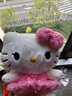 名創(chuàng  )優(yōu)品（MINISO）三麗鷗Hello Kitty凱蒂貓玫瑰之約毛絨公仔玩具玩偶抱枕生日禮物 曬單實(shí)拍圖