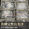 朵芙【海鮮禮盒】整條帶魚(yú) 5斤凈重大號帶魚(yú)刀魚(yú)新鮮整箱渤海帶魚(yú)海鮮 【5斤嘗鮮】精品釣帶4-6兩/條 曬單實(shí)拍圖