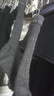 棉竹屋襪子男秋冬季保暖25年新款羊毛中筒襪10A抗菌防臭吸汗無(wú)骨長(cháng)襪4雙 曬單實(shí)拍圖