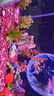 森森（SUNSUN）（免費入戶(hù)）魚(yú)缸底過(guò)濾水族箱客廳家用落地玻璃生態(tài)魚(yú)缸金魚(yú)缸 (三色燈光可調)鋼琴黑 99.2長(cháng)34寬 帶禮包 曬單實(shí)拍圖