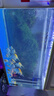 魚(yú)缸燈led燈防水超亮全光譜三色小水族箱潛水專(zhuān)用彩燈燈管 21W藍白不變光94cm（100-110cm缸用） 曬單實(shí)拍圖