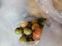 草莓西紅柿鐵皮柿子水果味番茄產(chǎn)地直發(fā)新鮮蔬菜生鮮 凈重 3斤 暢銷(xiāo)款 曬單實(shí)拍圖