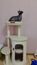 華元寵具冬日貓爬架小戶(hù)型貓抓桶不占地四季通用貓窩一體家用多層劍麻桶  曬單實(shí)拍圖