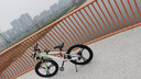 飛鴿青少年自行車(chē)6-12-18歲男女學(xué)生中大兒童越野山地車(chē)粉綠24寸變速 曬單實(shí)拍圖