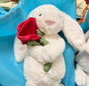 Jellycat乳白色懷抱玫瑰邦尼兔毛絨禮物玩偶2026情人節新品生日情人節禮物 乳白色懷抱玫瑰邦尼兔 Medium 曬單實(shí)拍圖