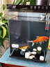 京東京造智能生態(tài)魚(yú)缸PRO家用客廳免換水自循環(huán)投喂過(guò)濾一體桌面小魚(yú)缸黑 曬單實(shí)拍圖