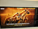 創(chuàng  )維電視A7H 75英寸藝術(shù)壁紙電視Mini LED 3.9cm超薄無(wú)縫貼墻 四重不反光屏 家電國家補貼  曬單實(shí)拍圖