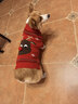冇寵狗狗衣服秋冬柯基柴犬冬裝中小型犬冬天保暖寵物圣誕毛衣加厚冬季 紅色圣誕毛衣（不含紅色圍巾） XL號胸圍54-65cm（建議26-38斤） 曬單實(shí)拍圖