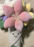 Jellycat趣味花束手捧花趣味植物毛絨玩偶公仔植物生日情人節禮物 趣味花束 One Size 曬單實(shí)拍圖