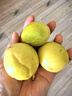 小城外欽蜜9號黃金百香果 西番蓮 當季新鮮生鮮水果 20個(gè)裝 30-50g 曬單實(shí)拍圖