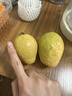 即食紅心芭樂(lè )2粒300g 曬單實(shí)拍圖