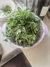 艾草新鮮食用清明草艾蒿當季蔬菜生艾草葉艾粄糍粑青團現摘嫩艾葉 1000g 曬單實(shí)拍圖