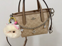 匠心手工坊適用coach蔻馳city15肩帶mini托特包改造替換斜挎包帶單買(mǎi) 豆沙色肩帶+四葉草鏈條套餐 曬單實(shí)拍圖