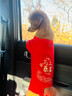 2026新年狗狗喜慶衣服冬裝柯基泰迪比熊小型犬小狗過(guò)年寵物四腳衣 新年保暖四腳衣馬上暴富 XS建議適用1-3斤 曬單實(shí)拍圖
