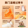 碩非凡暖腳神器暖腳寶床上睡覺(jué)用充電加發(fā)熱襪子生日圣誕節禮物送女生 卡皮巴拉【APP調溫+1秒速熱】 曬單實(shí)拍圖