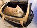 HiDREAM貓咪航空箱旅行寵物貓包外出便攜單肩可斜挎手提大容量貓背包 栗子棕大號 曬單實(shí)拍圖