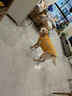 拉維佩特（LOVINGPET）狗狗衣服大型犬 保暖金毛狗衣服冬季柯基拉布拉多狗衣服中型犬 姜黃 6XL 建議60-75斤 曬單實(shí)拍圖