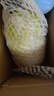 【霜打菜】大白菜約2.3kg 曬單實(shí)拍圖