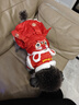 嬉皮狗（hipidog）可愛(ài)狗狗衣服新年舞獅情侶裝泰迪約克夏小型犬秋冬季厚款寵物服裝 德羅紅舞獅女款 S （建議體重3-5斤） 曬單實(shí)拍圖