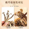 鹿茸菇干貨古田特產(chǎn)鹿茸香菇干貨高山生態(tài)鹿茸菇食用菌甄選食用菌 精選鹿茸菇250g 曬單實(shí)拍圖
