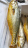 GUO LIAN國聯(lián)三去黃花魚(yú)2條共凈重2斤寧德東海大黃魚(yú)去鱗去鰓去內臟年貨節 曬單實(shí)拍圖
