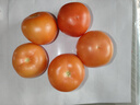 正宗攀枝花沙瓤西紅柿露天生吃粉果番茄新鮮采摘非普羅旺斯西紅柿 凈重中果【80-120克】 3斤 曬單實(shí)拍圖