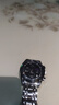 賓卡達手表男士學(xué)生運動(dòng)全自動(dòng)機械風(fēng)十大名表初高中新年禮物送男友老公 曬單實(shí)拍圖