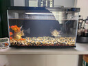 小米米家智能魚(yú)缸客廳小型造景生態(tài)家用背景超白玻璃桌面循環(huán)自動(dòng)喂食 【控溫增氧】小米智能魚(yú)缸+50W加熱棒+增氧泵 曬單實(shí)拍圖