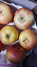 蜜語(yǔ)桃緣正宗國產(chǎn)冰糖心蘋(píng)果紅富士丑蘋(píng)果脆甜新鮮時(shí)令水果整箱禮盒 整箱10斤 單果80-90mm凈重8.5斤+ 曬單實(shí)拍圖