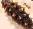 上品堂大連原產(chǎn)地有機干海參100g 20-24只 底播遼刺參海參干貨自食送禮 曬單實(shí)拍圖