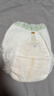 babycare金山茶花拉拉褲XXL30片*2包(＞15kg)嬰兒尿不濕超薄透氣花苞褲 曬單實(shí)拍圖