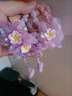 壹號鳳兒童流蘇頭花發(fā)飾小女孩丸子皮筋頭發(fā)女童公主可愛(ài)發(fā)圈簡(jiǎn)約 紫色-粉色4個(gè) 曬單實(shí)拍圖