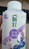 伊利暢輕低溫酸奶 生牛乳 藍莓紫米爆珠250g*8瓶酸牛奶 源頭直發(fā)包郵 曬單實(shí)拍圖