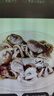 三去冰鮮三去八爪魚(yú)200g 曬單實(shí)拍圖