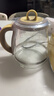 北鼎（Buydeem）養生壺全玻璃燒水壺自營(yíng)多功能燉煮壺煮茶壺一體辦公室家用恒溫壺電熱水壺1.2L FK571小鵝黃+茶籃 曬單實(shí)拍圖