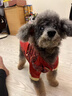 阿莫爾狗狗衣服秋冬款保暖盤(pán)扣唐裝小型犬比熊泰迪博美寵物新年國風(fēng)服飾 喜慶唐裝盤(pán)扣 XS-建議1-2斤內 詳細參考尺碼表 曬單實(shí)拍圖