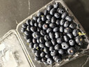 云南高山大藍莓500g 18mm 曬單實(shí)拍圖