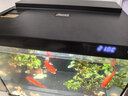 森森金麟超白玻璃魚(yú)缸一體缸自循小型懶人家用水族箱LE-380 曬單實(shí)拍圖