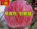 吉縣蘋(píng)果【爆甜】2025正宗吉縣蘋(píng)果脆甜多汁壺口蘋(píng)果新鮮水果整箱產(chǎn)地直發(fā) 【8.5斤】90-100mm果王【混裝】 當季吉縣壺口蘋(píng)果 曬單實(shí)拍圖