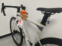 喜德盛公路自行車(chē)AD300油碟UCI車(chē)架2x10速中空一體牙盤(pán)桶軸破風(fēng)車(chē) 白蛇 510mm（適合身高170-180cm） 曬單實(shí)拍圖