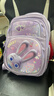 迪士尼（Disney）書(shū)包小學(xué)生3-6年級女孩大容量戶(hù)外出游透氣立體背包雙肩包防潑水 曬單實(shí)拍圖