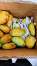 南步海南小臺農芒果 當季小臺芒雞蛋芒非金煌甜心芒新鮮熱帶特產(chǎn)水果 凈重2.5斤 大果【單果110g+】需催熟 曬單實(shí)拍圖