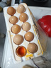 海佑農家散養土雞蛋柴雞蛋笨雞蛋五谷喂養單枚40g-50g 土雞蛋30枚 曬單實(shí)拍圖