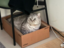 pidan貓抓板 紙盒款 瓦楞紙貓窩耐磨貓玩具 曬單實(shí)拍圖